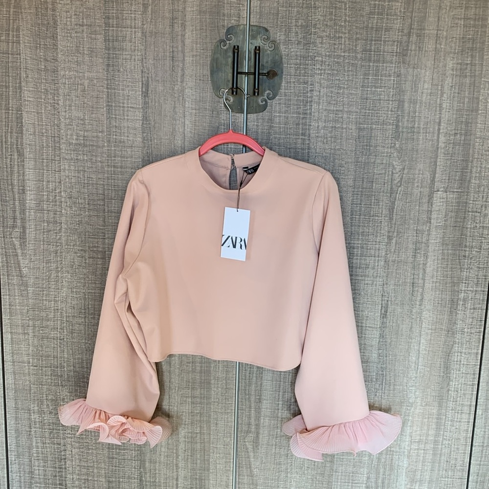 Zara Pleaded Ruffle Sleeves‎ Blouse